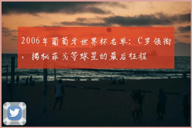 2006年葡萄牙世界杯名单：C罗领衔，揭秘菲戈等球星的最后征程