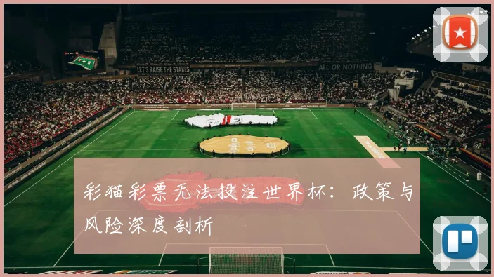 彩猫彩票无法投注世界杯：政策与风险深度剖析