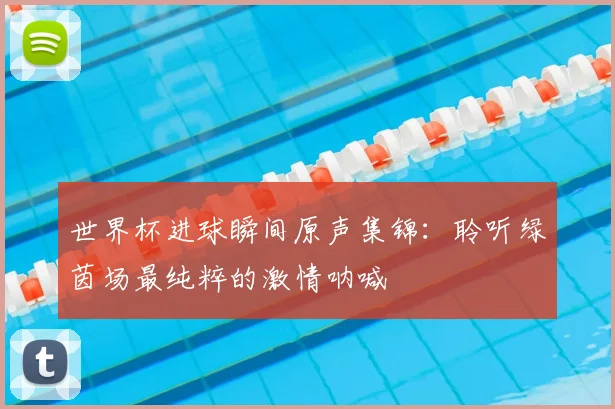 世界杯进球瞬间原声集锦：聆听绿茵场最纯粹的激情呐喊