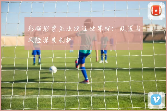 彩猫彩票无法投注世界杯：政策与风险深度剖析